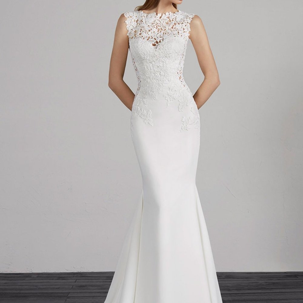 Pronovias Milano Gown